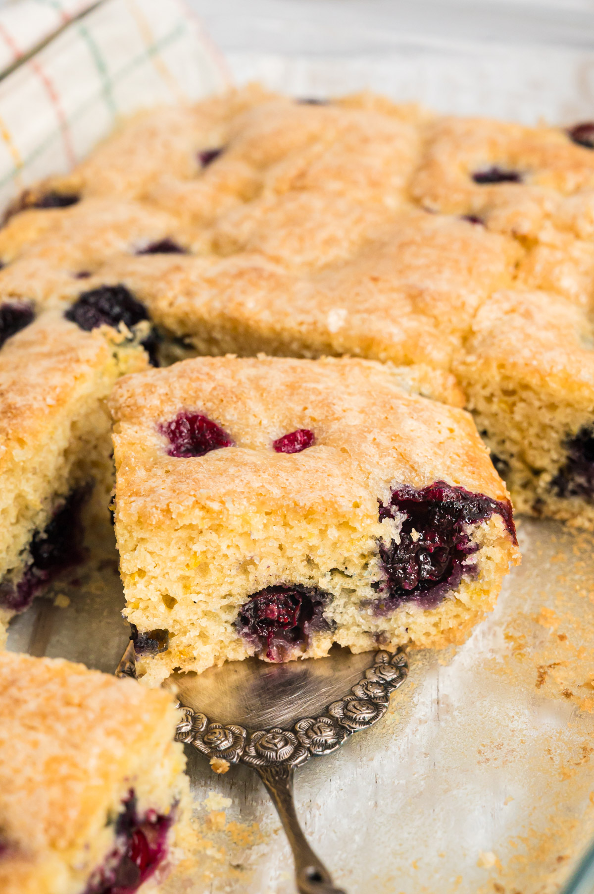 geschnittene Stücke Blaubeerkuchen in Glasbackform, ein Stück auf Tortenheber