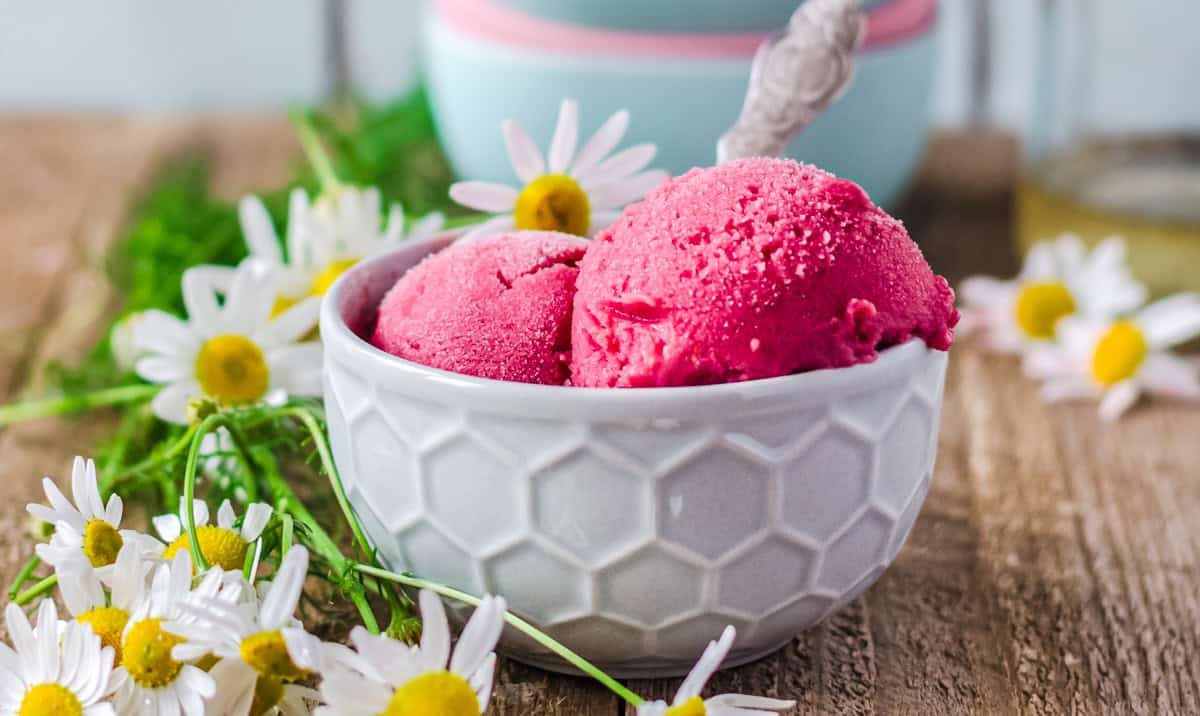 2 Kugeln Himbeer-Sherbet in hellgrauer Schale mit Löffel